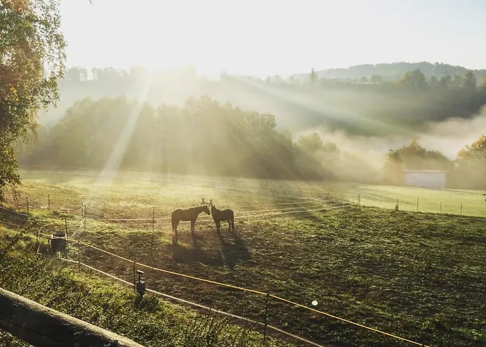 Сasa de vacaciones Samba *
